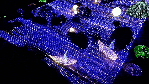 厦门园博苑花灯又上新！走进秋夜浪漫花月夜~
