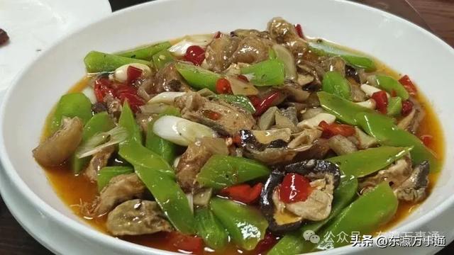 程肖梅：我的“北川记忆”——羌王竹海的全竹宴