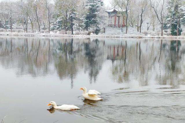 赴一场校园雪约,猜猜哪栋是你的 “温暖小窝”