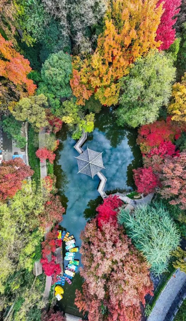 苏州秋天打卡线路推荐→