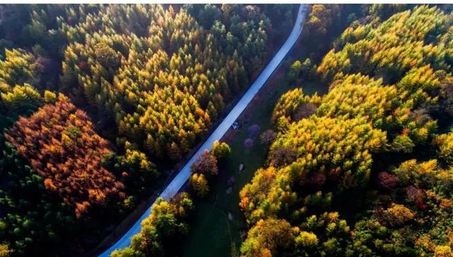 秋色浓度超标!汉中这座小城值得奔赴!