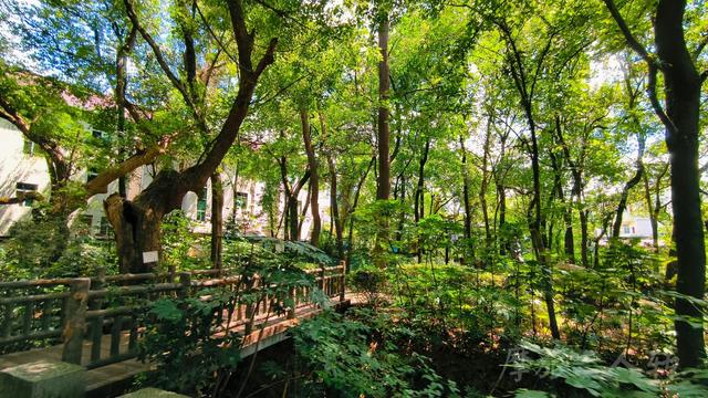 皖浙摩旅二人转——桐庐荻浦村篇