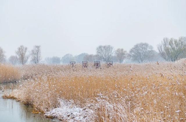 雪后的盐都，每一帧都是壁纸
