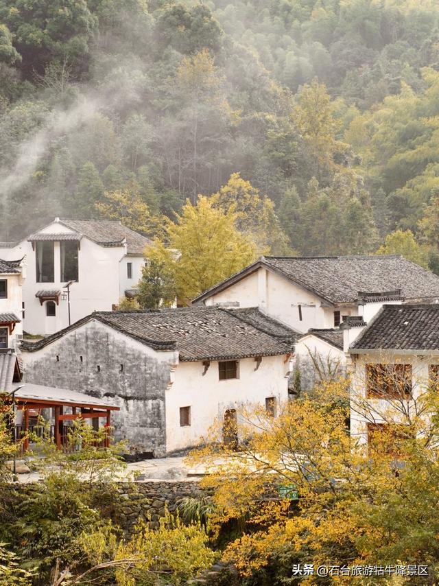 牯牛降闭园创5A，毗邻白石岭正当时