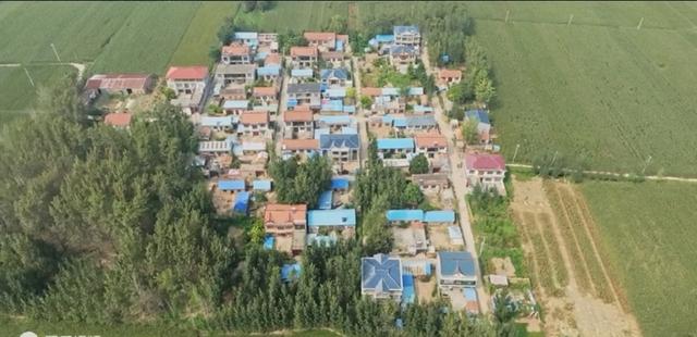 魅力曹县楼庄镇