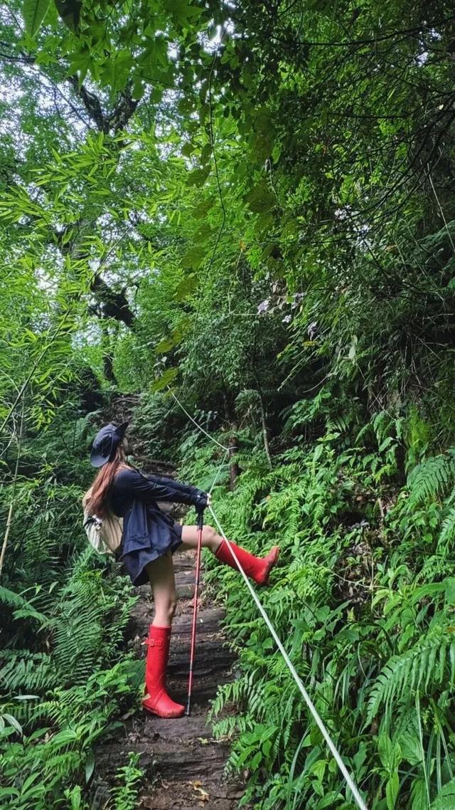 秋假第一站，就定这里！这片绝美彩林人少景美，速来赏秋！