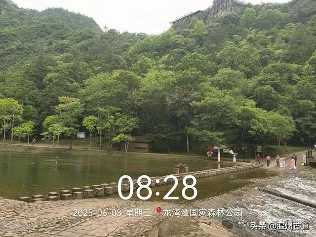 温州这个亲子游玩胜地、植物自然课堂孩子玩嗨家长不累