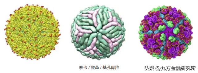 一文了解“基孔肯雅热”产业链