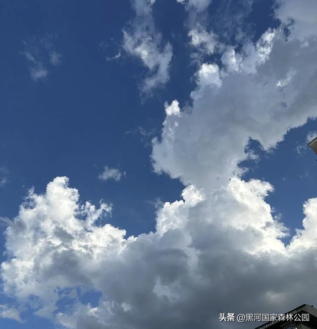 西安人注意!秋天别宅了!自驾2h直达“神仙氧吧”!