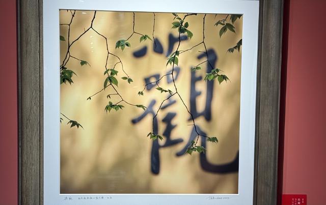 【壮游中国】在南华禅寺古刹中邂逅心灵的归处