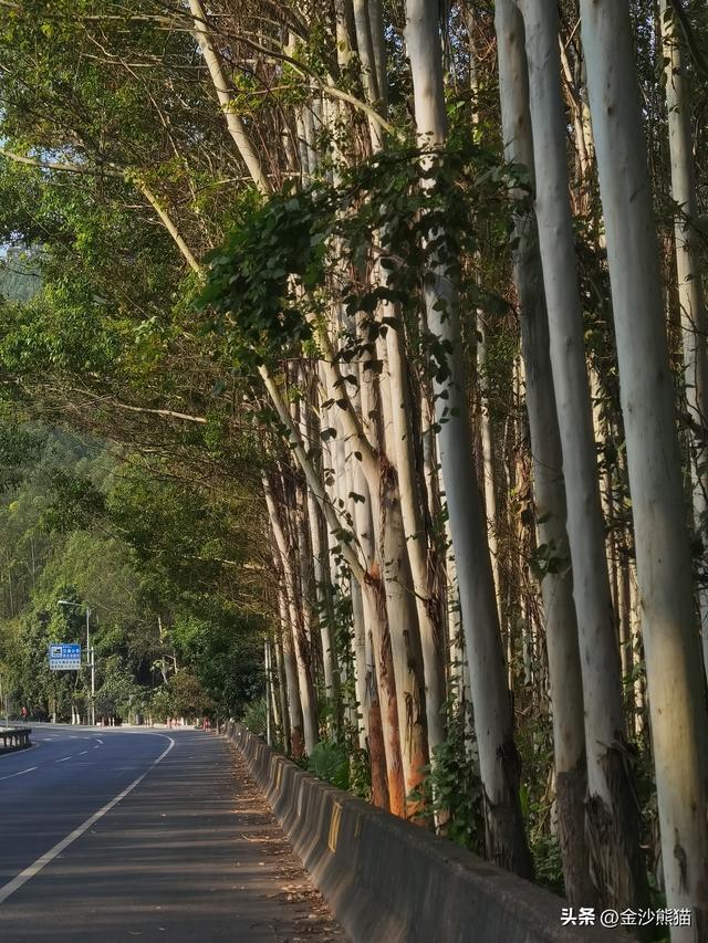 从福建漳浦到广东饶平 蜜柚真甜 双龙连续三年千里骑双骑9