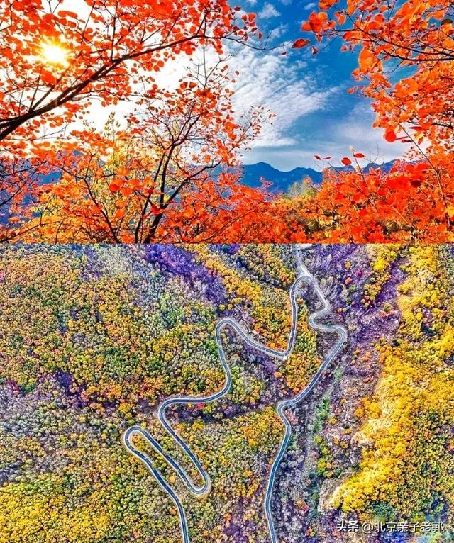 京城四条超适老徒步路线大揭秘