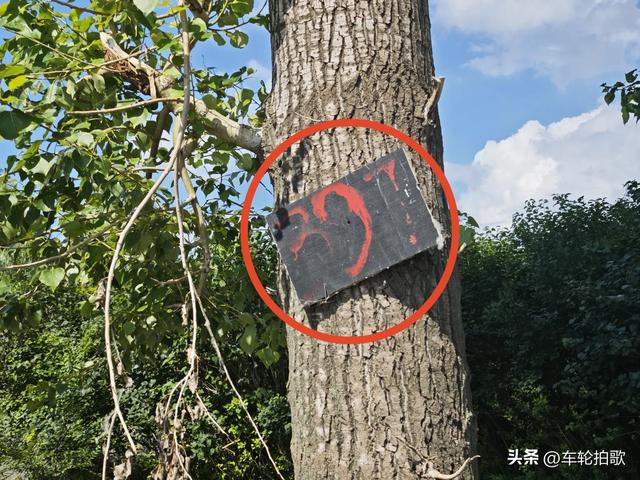 哈尔滨看不懂的公交站的站牌