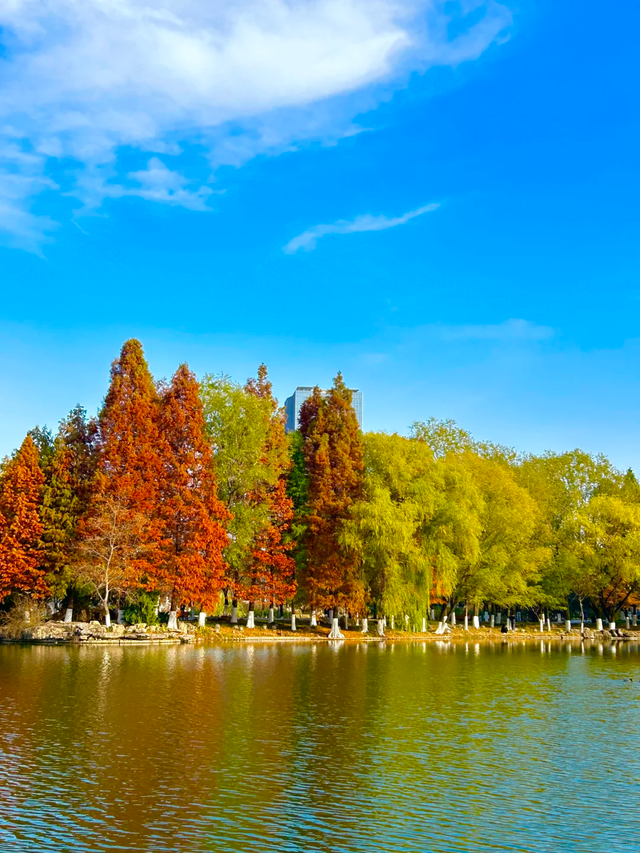 此刻的临沂，把清欢藏进风景里
