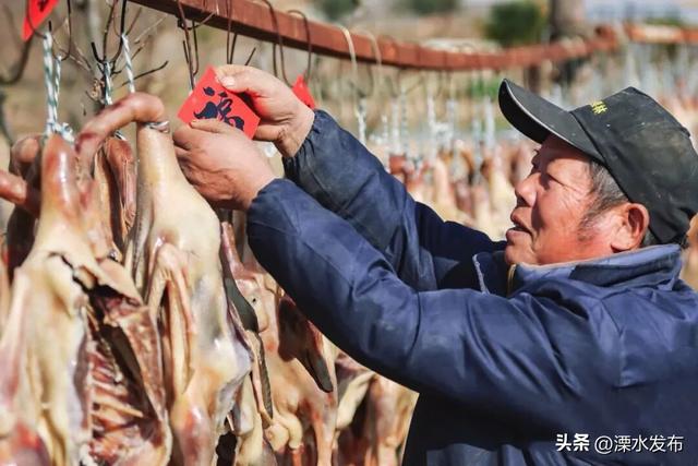 本周末，一起来这里过大年！