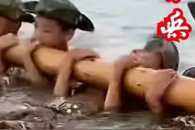 (闲言杂语<一>)议:广西幼儿的硬核军训。图片