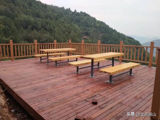 诚邀您共赴一场焕活身心的“森”呼吸之旅!