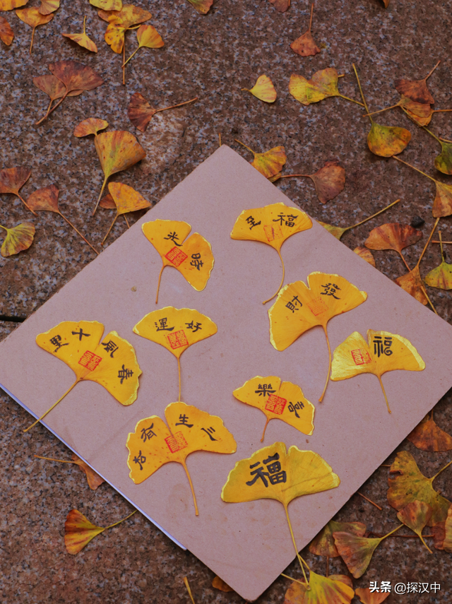 秋遇草川子，红叶醉游人