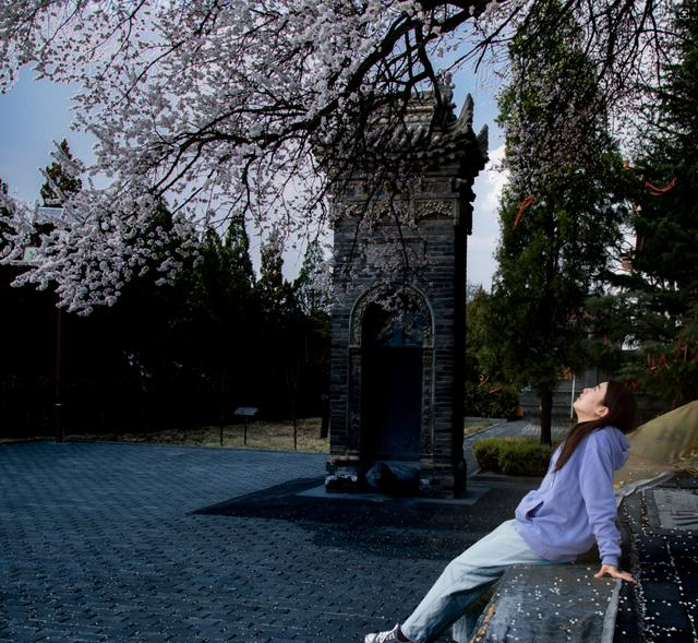 庆阳这5个地方，藏着黄土塬整个春天的密码！