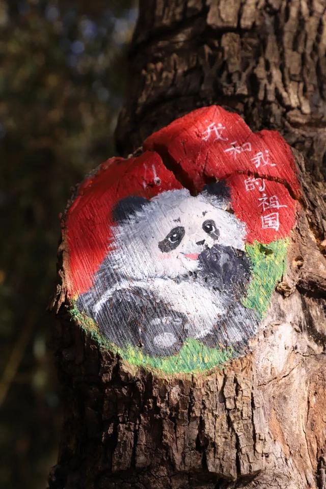 什么？日照这里有一群“小精灵”？！