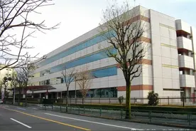 永住者滞纳税金实态揭秘：日本或导入强制性加入年金机制图片