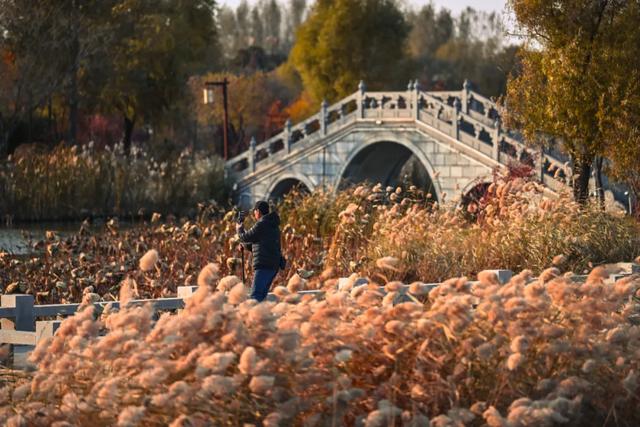 吉视界 | 北湖秋日限定 “颜值” 上线