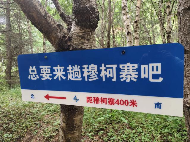 从甘肃到宁夏,我们走了一条绝美的风景之路,你不来看看吗?