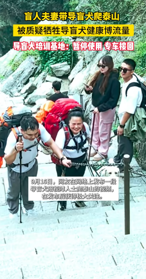 爬泰山的作死夫妻被制裁！导盲犬被收回，身份被扒，家里还有一只