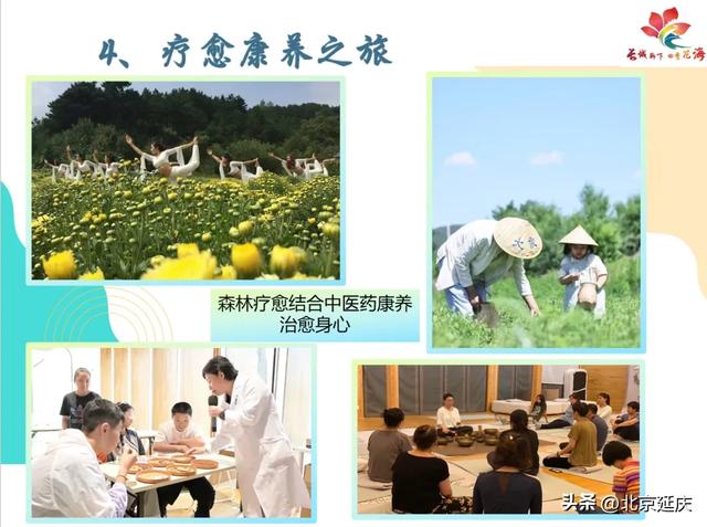 8大线路发布！GO~去延庆四季花海