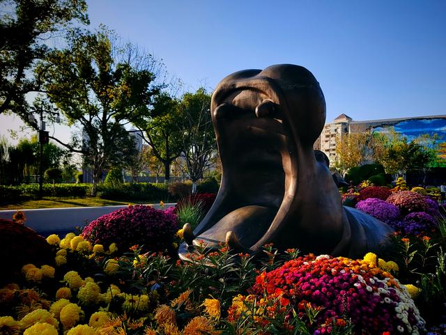 武汉动物园金秋菊展集锦