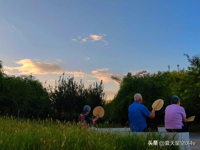 家乡那片林的美丽时光