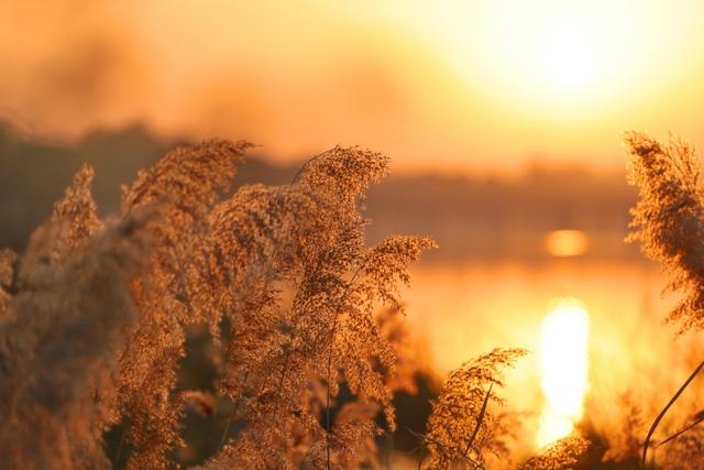 新聊新景丨徒骇河畔：水天一色 浮光跃金