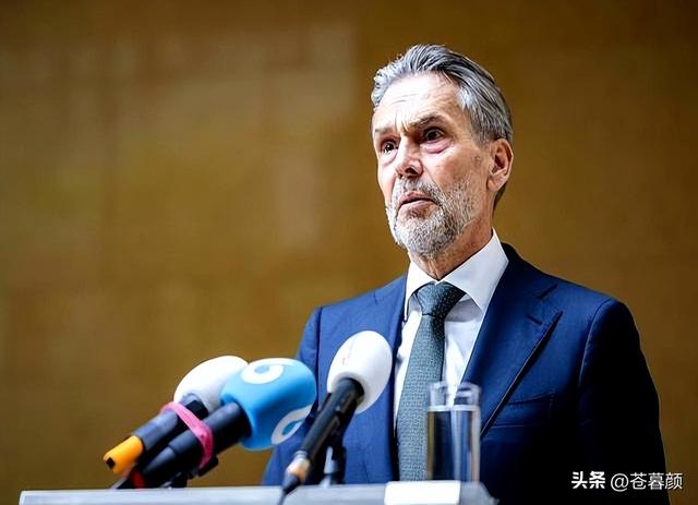 欧洲车企排队签字，德国：我们把中国想太好，荷兰接管安世没有错