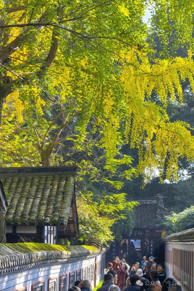 来罨画池，一定不要错过……