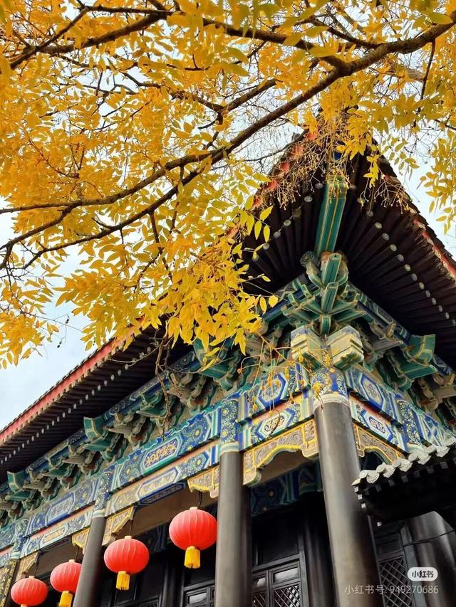 临沂约你相见！逛吃老城超治愈