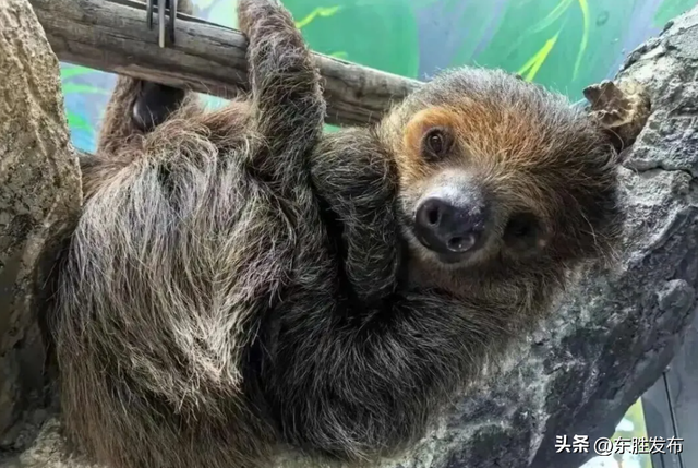 速来！半价特惠！