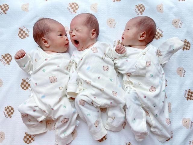 出生率拉响警报，广东出生人口113.3万全国第一，东北为何不愿生