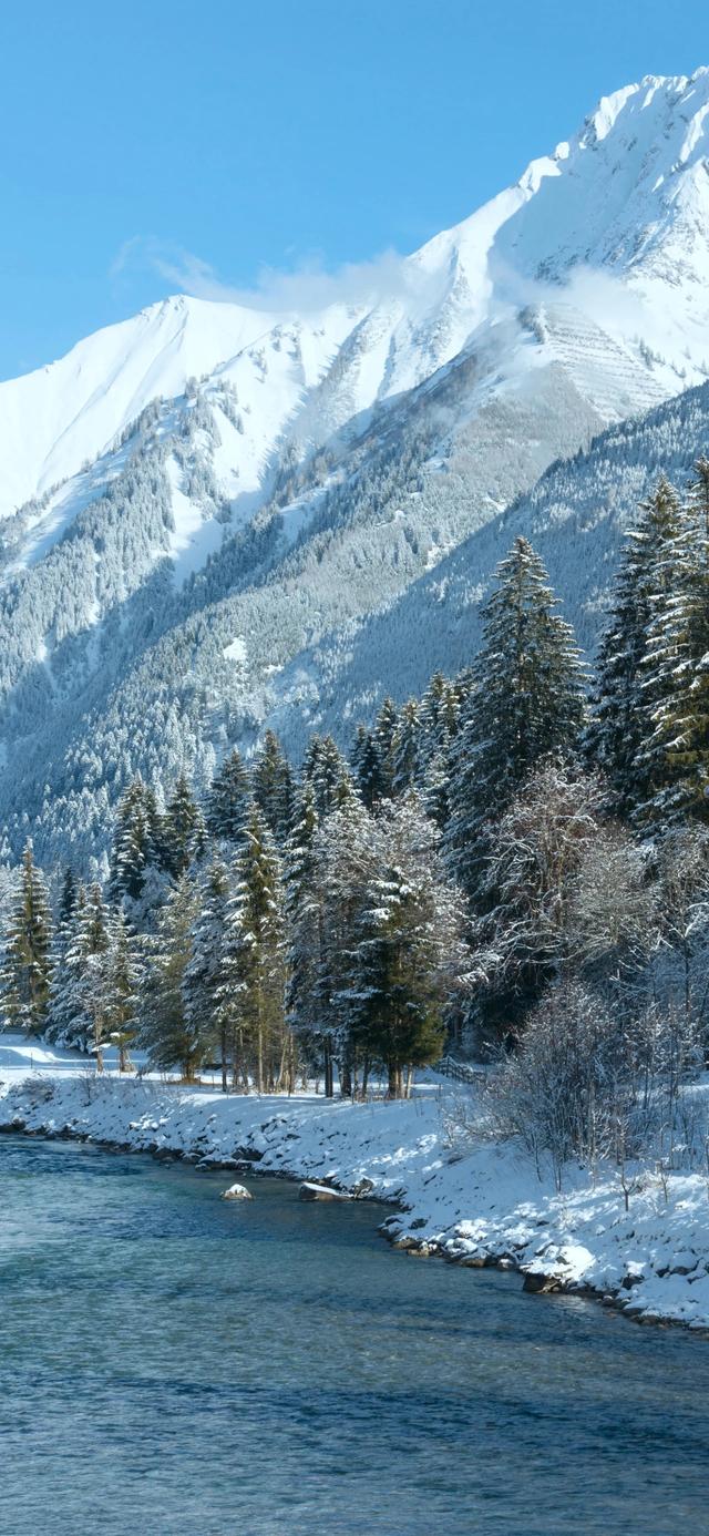 手机壁纸|冬日氛围感自然美景