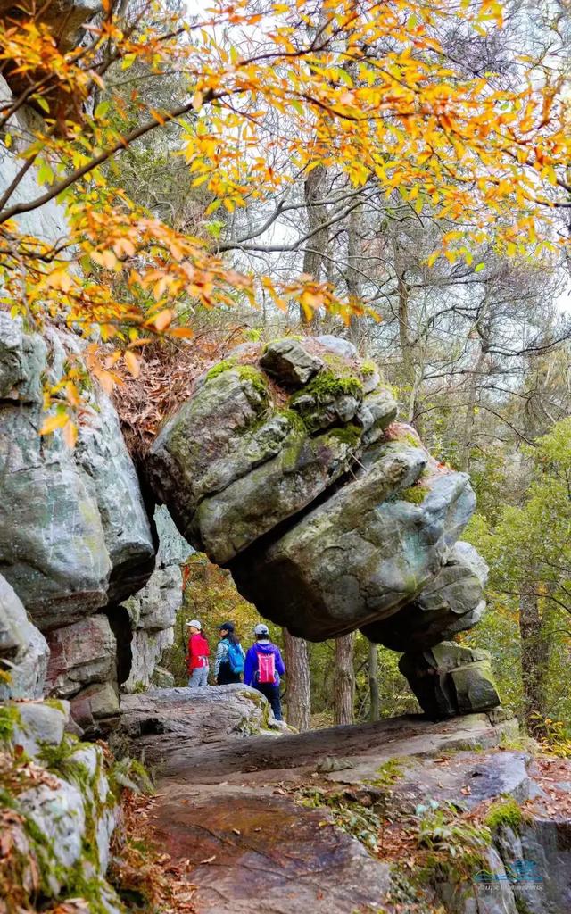 从1公里到33公里,苏州15座山全强度登山攻略!