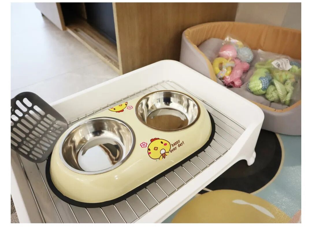 在韶关，带毛孩子去哪“浪”？这份宠物友好地图请收藏，撒欢不踩雷~