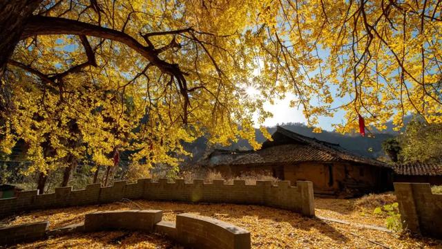 留坝推出24项主题文旅活动 共醉秦岭红叶