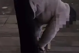 成都一大妈撬走盲道不锈钢条售卖，已被警方刑拘！律师：这属于故意损毁公共设施图片