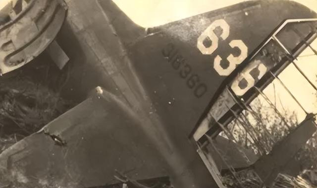 李鹏总理儿媳罕见留影，五官端正长相大气，爷爷功勋卓著比肩元帅