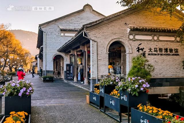 11月的云南腾冲，3000株银杏迎来黄金观赏期，美成人间仙境！