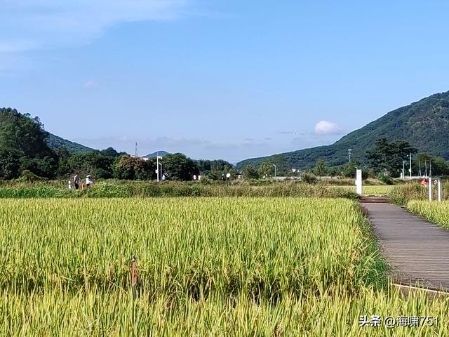 从化艾米稻香小镇