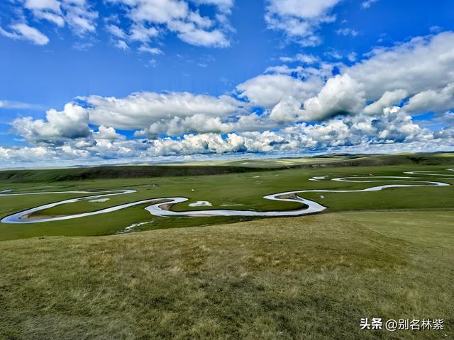 呼伦贝尔自由行，莫日格勒河景区一日游 ，分享游玩攻略和避坑指南