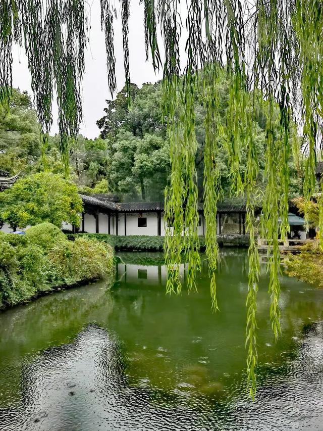 相约在湖州，相聚在梦萦——记原福空医院老战友2025年湖州行