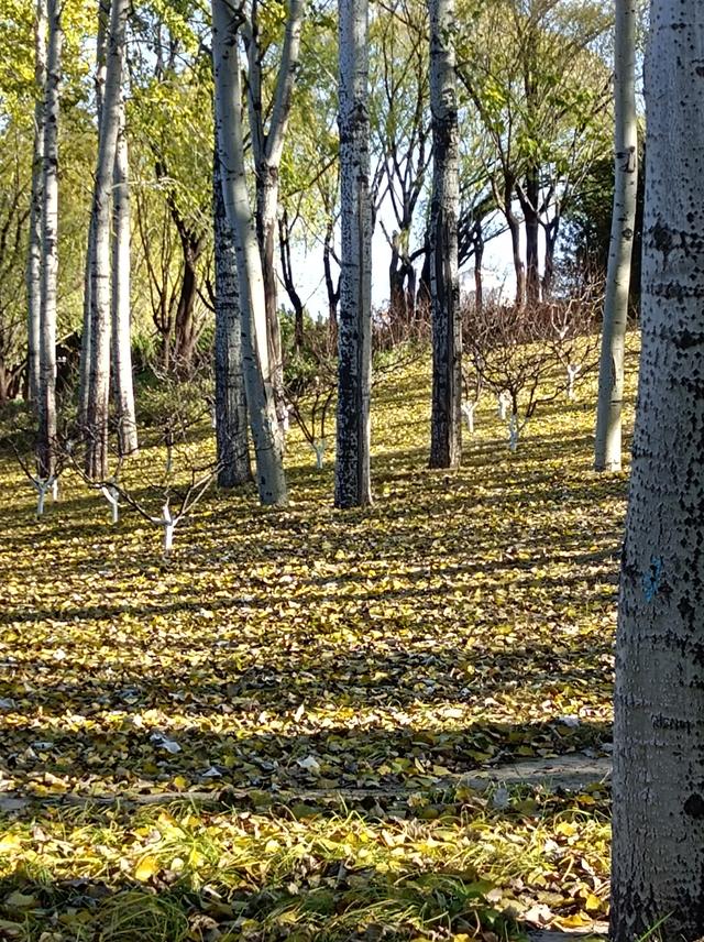 福州是个有温度的城市