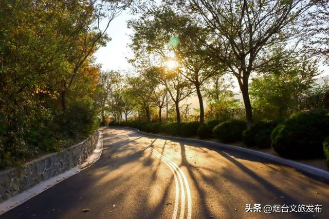 【乐游烟台】周末好去处丨被烟台家门口的赏秋徒步地，美哭了！