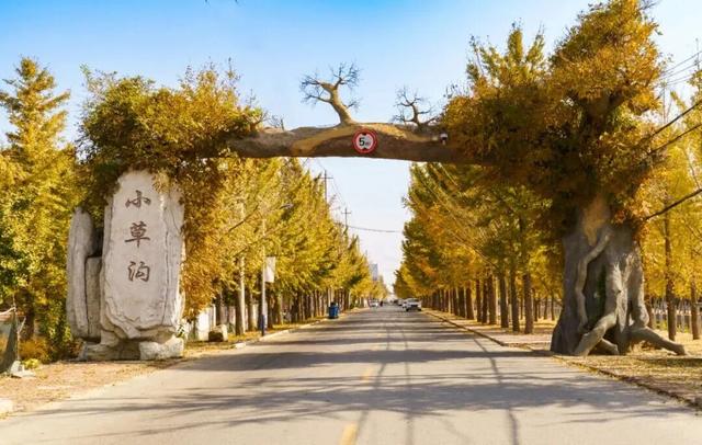 在山东这个“神仙小城”，远离人潮，过几天山海相依、文墨飘香的日子